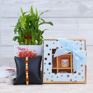 Pearl Rakhi with Chocolates N Lucky Bamboo - Rakhi with Plants