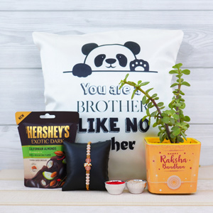 Pearl Rakhi with Jade Plant N Cushion Combo - Send Rakhi to Hyderabad