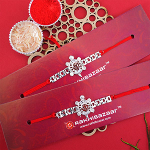 Set of 2 Tortoise Rakhi for Brother - Set of 2 Rakhis