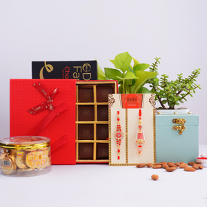 Couples Rakhi with Plants N Dry Fruit Gift Hamper - Rakhi Gift Ideas
