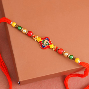 Unique Tortoise Rakhi for Brother - Rakhi for Brother