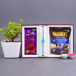 Bluish Good Luck Rakhi with Plant N Chocolates - Rakhi Gift Ideas