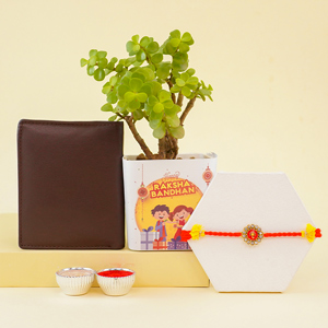Pretty Designer Rakhi with Wallet N Jade Plant - Rakhi Gift Ideas